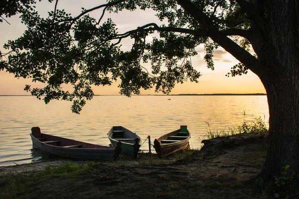 Viejos Barcos Madera Junto Lago Atardecer — Foto de Stock