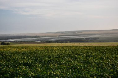 Kuru ot köyün yayılan yazdıktan sonra duman