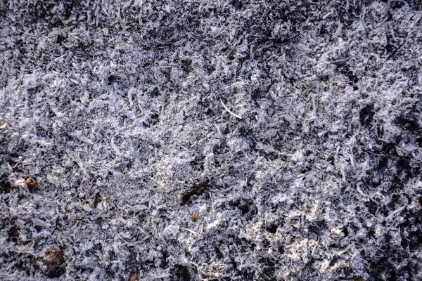Пепел Земле Текстура — стоковое фото