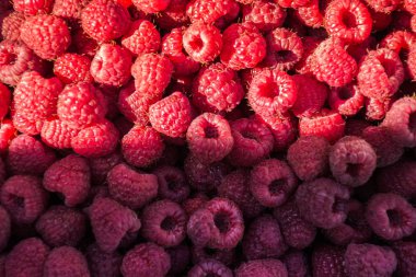 Ahududu doku gölgede ve güneşte