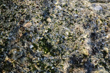 Denizde su altı taş doku