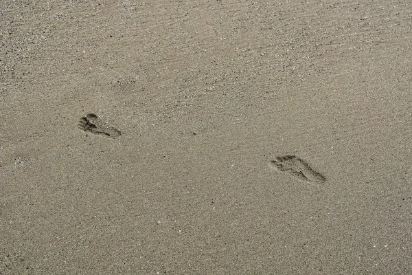 Plaża Żwirowa Footprints Dziecko — Zdjęcie stockowe