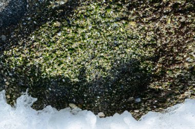 Deniz taş ve dalga doğal arka plan