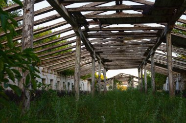 Terk edilmiş eski ahır çiftliğinin çatısı olmayan iç manzarası, Ukrayna 2020