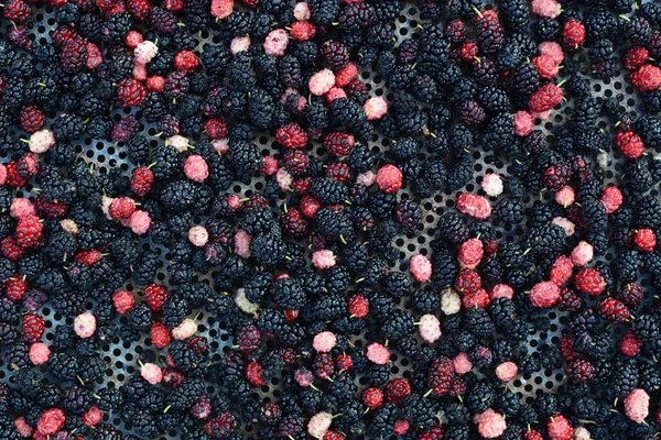 Mulberry Rozsdamentes Rács Élelmiszer Háttér — Stock Fotó