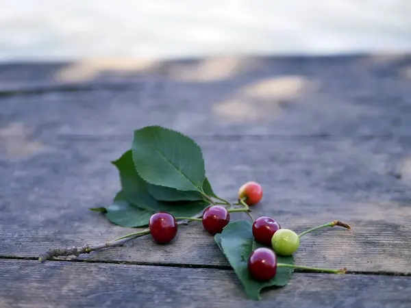 Csomó Ból Cseresznye Egy Szürke Háttér Vágás Természetes Környezetben Nyári — Stock Fotó