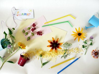 Tema alan dekoratif kompozisyon yaz çiçekler, meyveler, renkli kağıt ve kalem, deniz tuzu, Not defteri ve kartpostal yaz hafif bir arka plan, üstten görünüm