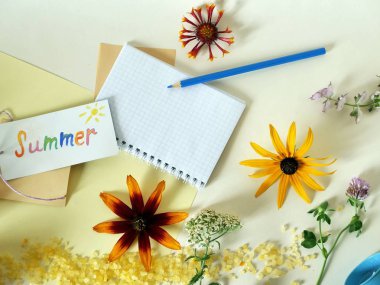 Yaz kurulum çiçekler, meyveler, deniz tuzu hafif bir arka planda üstten görünüm