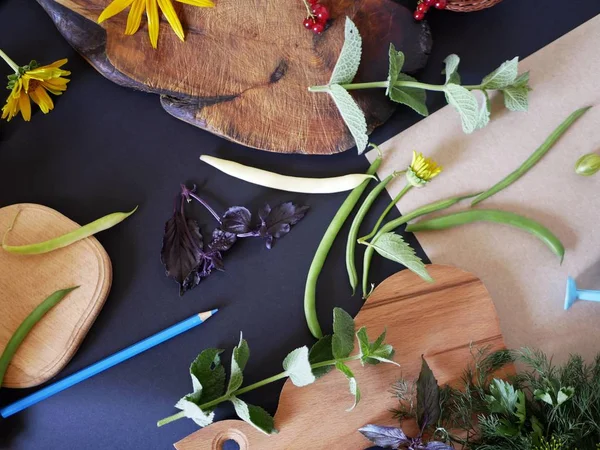 Yaz natürmort yeşillik, sebze, üstten görünüm