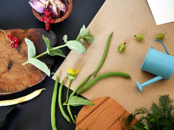 Yaz natürmort yeşillik, sebze, üstten görünüm