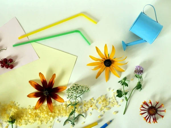 Yaz kurulum çiçekler, meyveler, deniz tuzu hafif bir arka planda üstten görünüm