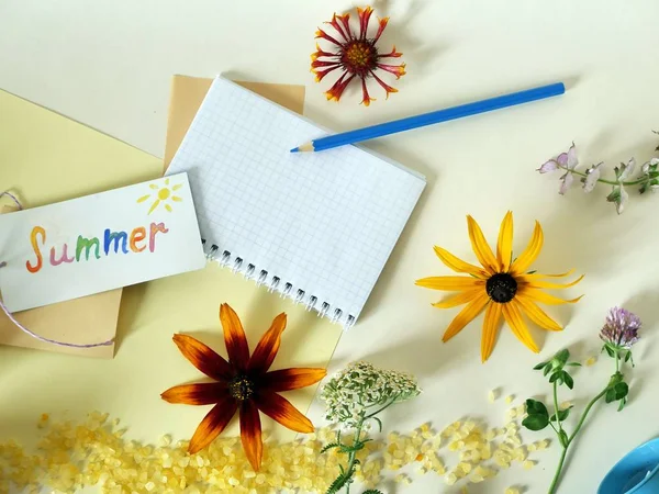 Yaz kurulum çiçekler, meyveler, deniz tuzu hafif bir arka planda üstten görünüm