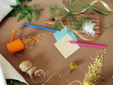 Dekoratif bileşimi yeşil bezelye, baharatlı Yeşiller ve deniz tuzu kahverengi zemin, üstten görünüm