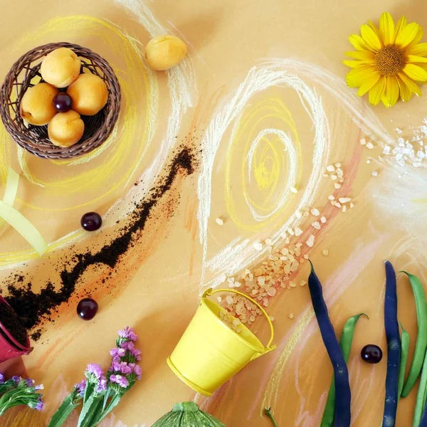 Sebze, yeşillik, baharat, çiçekler ve deniz tuzu pastel boya kalemi ile üstten görünüm boyalı turuncu kağıt üzerinde dekoratif kompozisyon