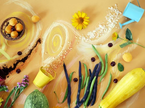 Sebze, yeşillik, baharat, çiçekler ve deniz tuzu pastel boya kalemi ile üstten görünüm boyalı turuncu kağıt üzerinde dekoratif kompozisyon