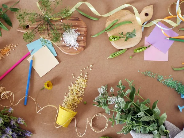 Dekoratif bileşimi yeşil bezelye, baharatlı Yeşiller ve deniz tuzu kahverengi zemin, üstten görünüm