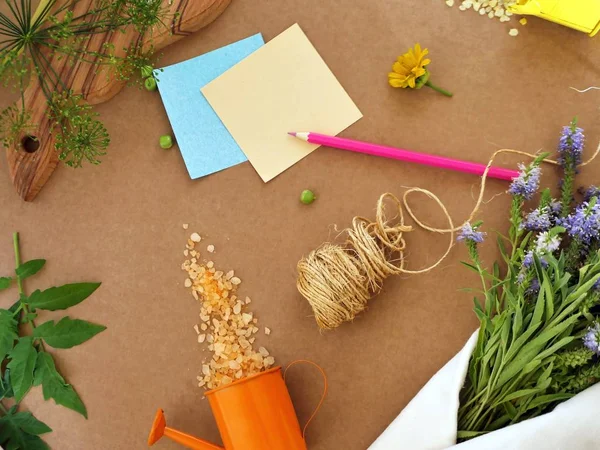 Dekoratif bileşimi yeşil bezelye, baharatlı Yeşiller ve deniz tuzu kahverengi zemin, üstten görünüm