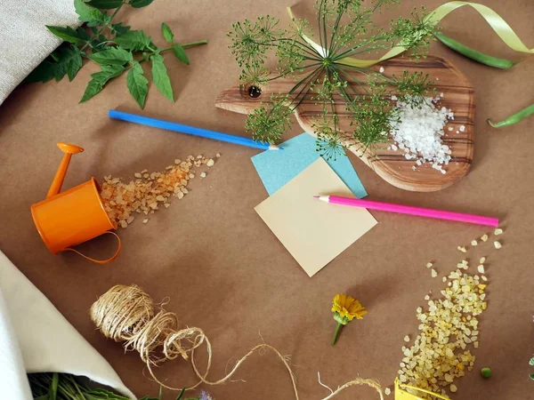 Dekoratif bileşimi yeşil bezelye, baharatlı Yeşiller ve deniz tuzu kahverengi zemin, üstten görünüm