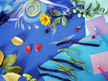  Boyalı sarı çiçekler, yapraklar, kuşkonmaz fasulye, meyve, kağıt üzerinde mavi renkli kağıt, renkli dekoratif sonbahar bileşimi pastel boya kalemi ile üstten görünüm