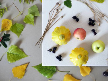 Erken sonbahar, meyveler, sebze, çiçek, yaprak, sanat malzemeleri gri kağıt ve beyaz fayans, üstten görünüm kompozisyon kavramı