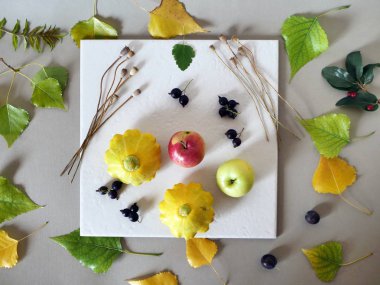 Erken sonbahar, meyveler, sebze, çiçek, yaprak, sanat malzemeleri gri kağıt ve beyaz fayans, üstten görünüm kompozisyon kavramı