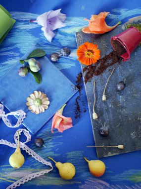 Dekoratif mevsimlik kompozisyon meyve, baharat, kiremit mavi bir arka plan üzerinde çiçekler ve tonda kağıt, üstten görünüm boyalı