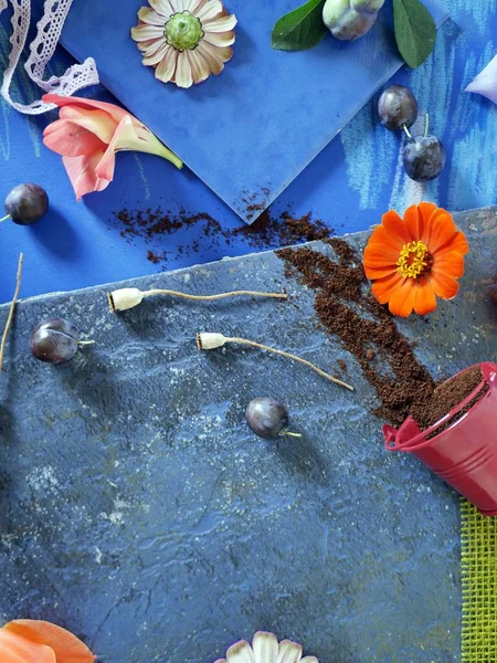 Decorative seasonal composition of fruits, spices, flowers on a blue background of tiles and painted toned paper, top view