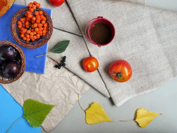 Dekoratív Őszi Kompozíció Gyümölcsök Zöldségek Fűszerek Virágok Fény Kék Háttér — Stock Fotó