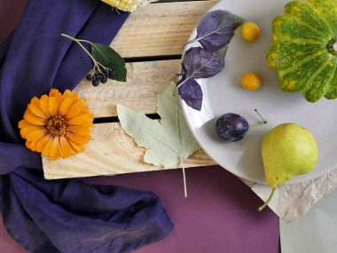 olorful sebze, meyve, çiçek ve yaprak yüzeyi farklı dokular, mevsimlik dekoratif kompozisyon, sonbahar, yaz natürmort, üstten görünüm