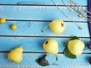 Görünüm parlak renkli meyve, çiçek ve yaprak yüzeyi farklı dokular, mevsimlik dekoratif kompozisyon, sonbahar, top