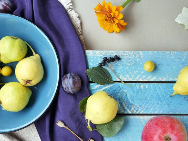 Görünüm parlak renkli meyve, çiçek ve yaprak yüzeyi farklı dokular, mevsimlik dekoratif kompozisyon, sonbahar, top