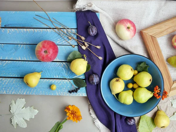 Görünüm parlak renkli meyve, çiçek ve yaprak yüzeyi farklı dokular, mevsimlik dekoratif kompozisyon, sonbahar, top