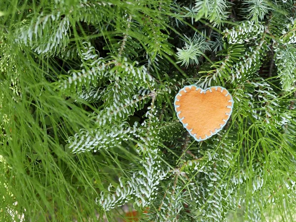 Hand Made Felt Heart Decoration Green Coniferous Branch Christmas New — Stock Photo, Image