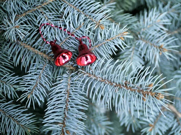 在自然环境 圣诞节 假日季节的云杉树枝上有一对红色的铃铛 — 图库照片