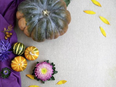  Kabakları çiçekler, dekoratif sonbahar kompozisyon sarı biber bir açık renkli, üstten görünüm, Cadılar Bayramı