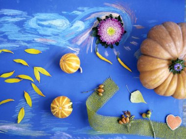 Kabakları çiçekler, dekoratif sonbahar kompozisyon tonda kağıt, üstten görünüm mavi bir arka plan üzerinde mum. Tatil, Cadılar Bayramı, sonbahar sezon
