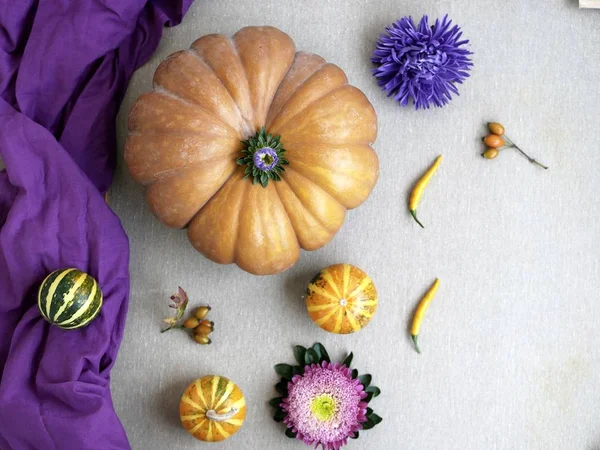  Kabakları çiçekler, dekoratif sonbahar kompozisyon sarı biber bir açık renkli, üstten görünüm, Cadılar Bayramı