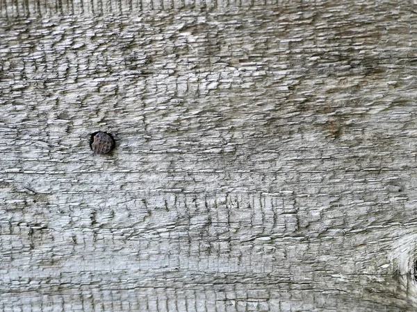 Texture of an old gray wood surface, wood material