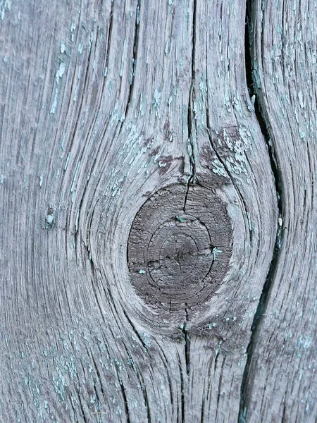 Texture of an old gray wood surface, wood material