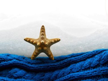  Denizyıldızı pencere karşı bir kış penceresinde, yaz ve deniz kavramı zemin üzerinde mavi bir örme şal üzerinde