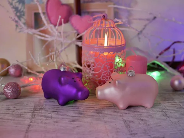 Dekorative Komposition Eines Paares Weihnachtsdekoration Von Schweinen Brennende Kerzen Festliche — Stockfoto
