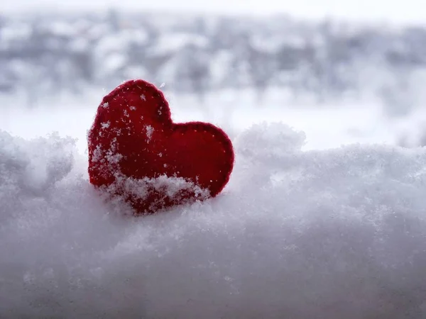 Червоний Відчував Серце Обкладинці Сніг День Святого Валентина — стокове фото