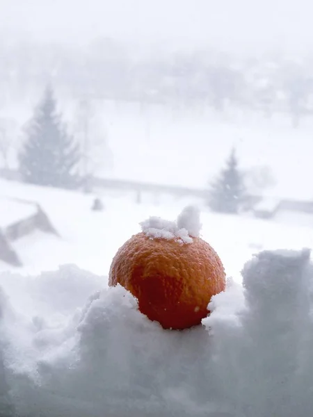 Mandarina Naranja Madura Nieve Contra Telón Fondo Del Paisaje Invernal — Foto de Stock
