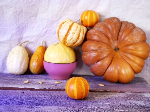 Mesa Madera Texturizada Calabazas Naranjas Diferentes Tonos Composición Estacional Concepto — Foto de Stock