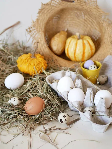 Huevos Huevos Codorniz Paquete Calabazas Heno Concepto Pascua Preparación Para — Foto de Stock