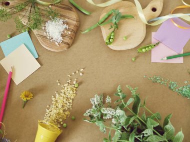 Yeşil baharatlı otlar, tuz, kağıt mutfak masası, üstten görünüm, sağlıklı gıda, yaz sezonu, tarifi için hasat