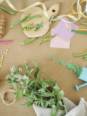 Yeşil baharatlı otlar, tuz, kağıt mutfak masası, üstten görünüm, sağlıklı gıda, yaz sezonu, tarifi için hasat