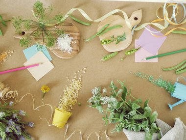 Yeşil baharatlı otlar, tuz, kağıt mutfak masası, üstten görünüm, sağlıklı gıda, yaz sezonu, tarifi için hasat