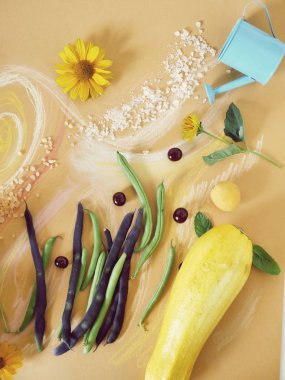 Sebze, yeşillik, baharat, çiçek ve deniz tuzu turuncu kağıt üzerinde dekoratif kompozisyon, pastel boya kalemleri ile boyalı, üst görünüm, yaz sezonu