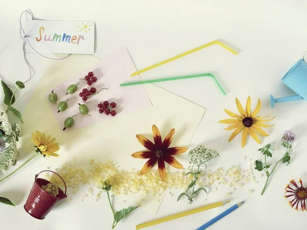 Komposition Von Postkarten Sommer Beeren Cocktailtuben Frischen Blumen Und Meersalz — Stockfoto